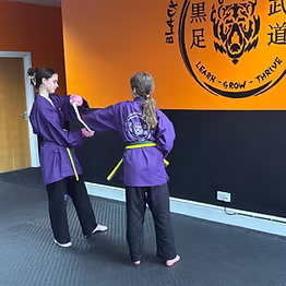 Taekwondo Martial Arts Class in Action